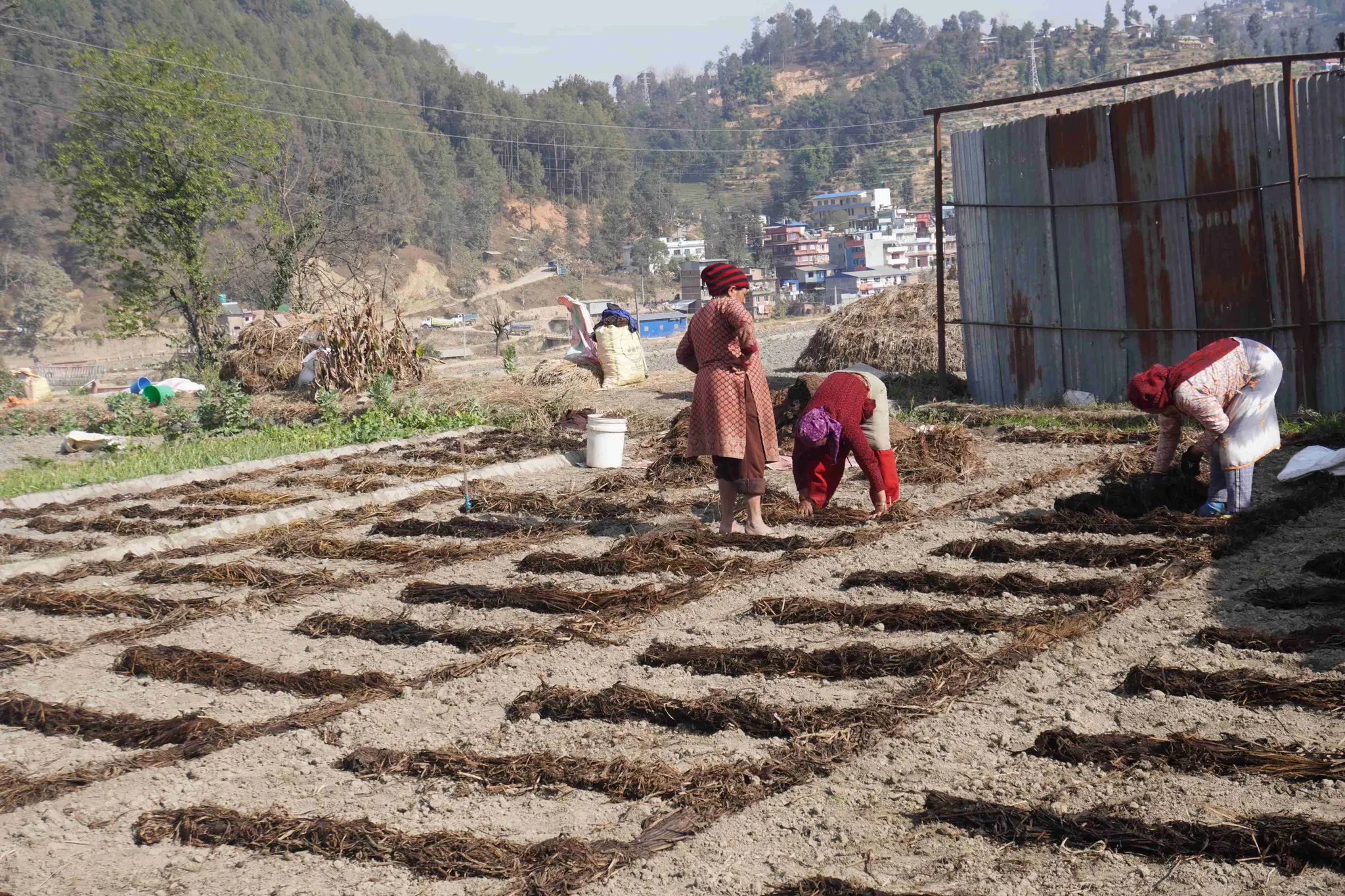 Panauti Old Town Community Homestay — photo 4